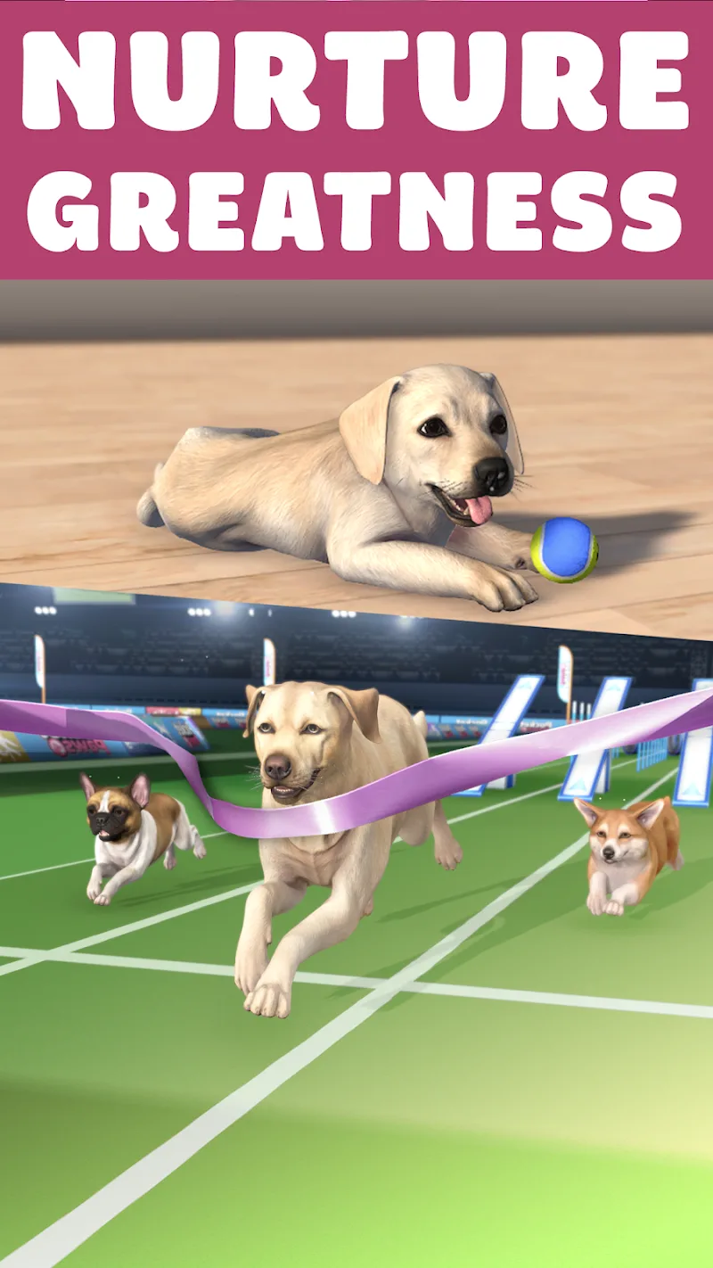 Pocket Paws captura 3