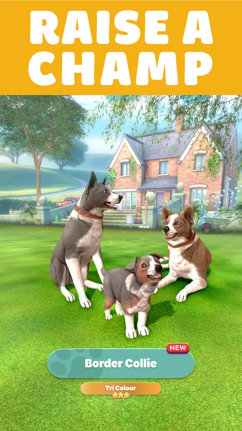Pocket Paws captura 2