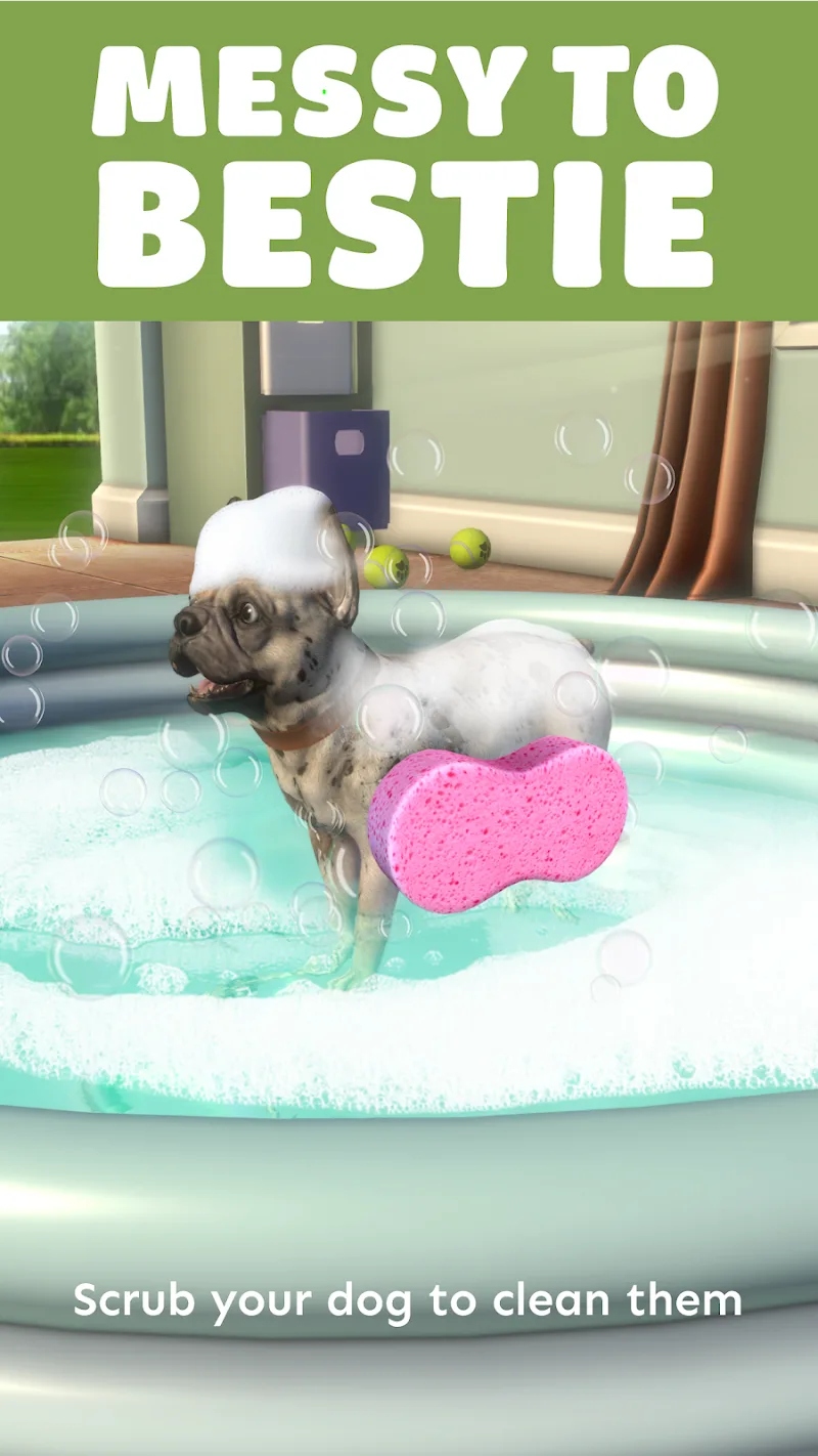 Pocket Paws captura 5