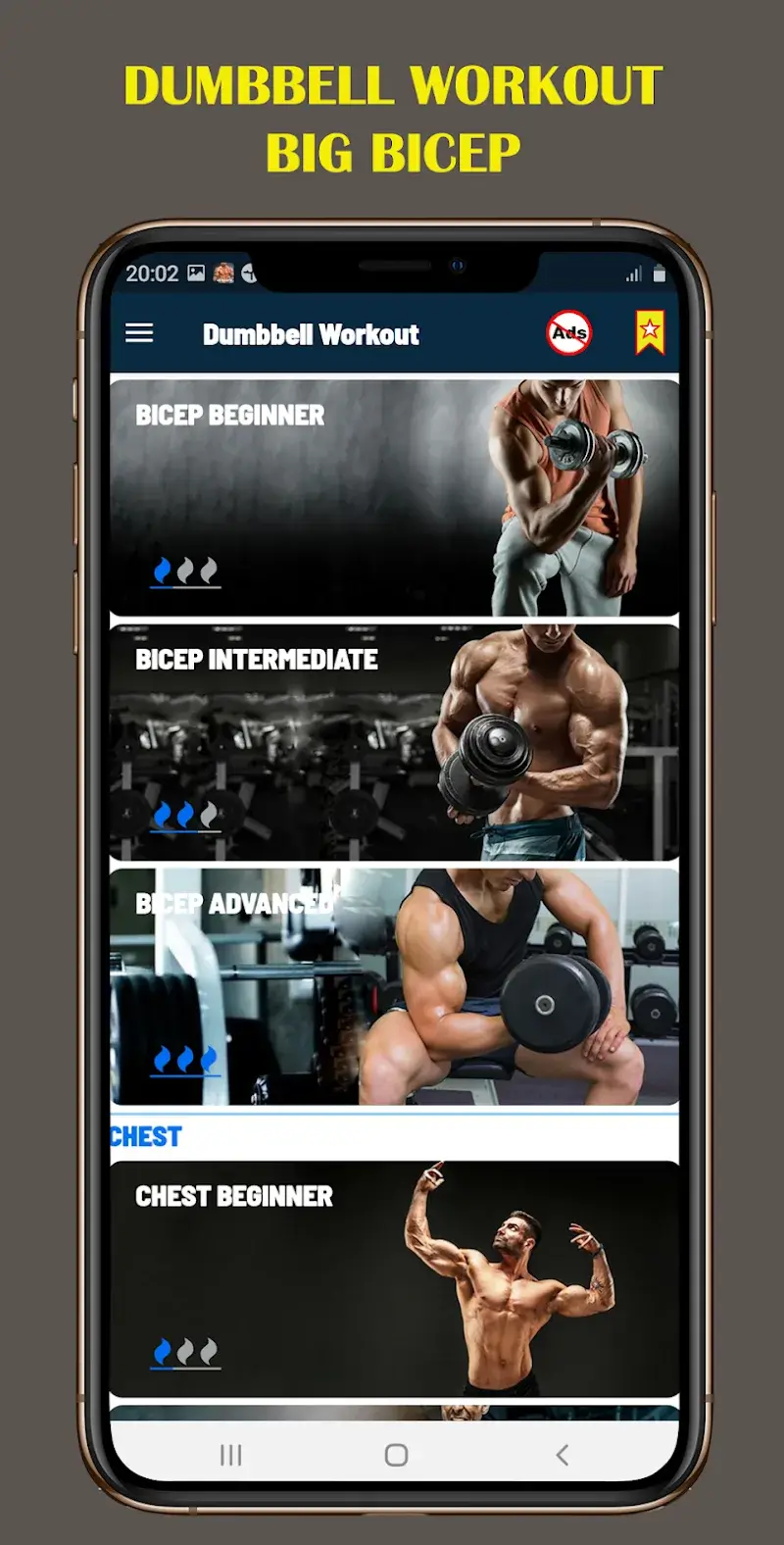 Aperçu 5 de l'application Dumbbell Home - Gym Workout
