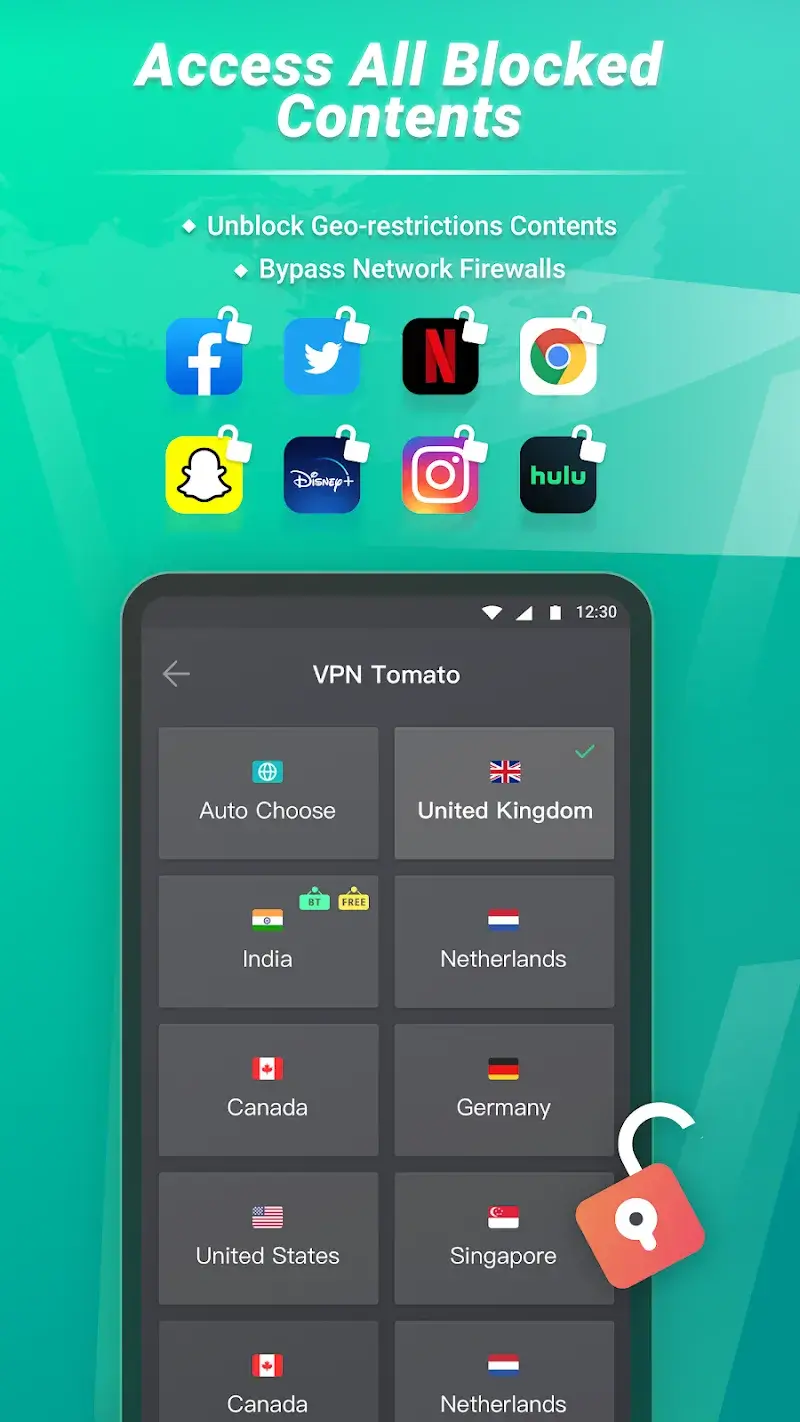 Tangkapan layar Tomato VPN 4