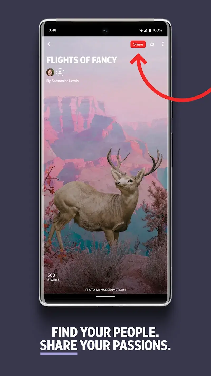 Capture d'écran Flipboard 5