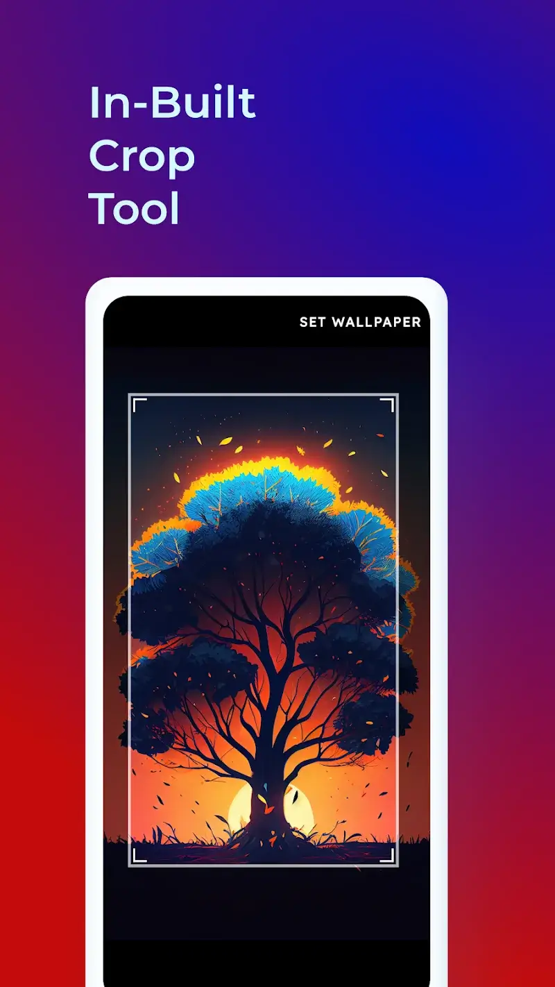 WallNode Captura de tela 6