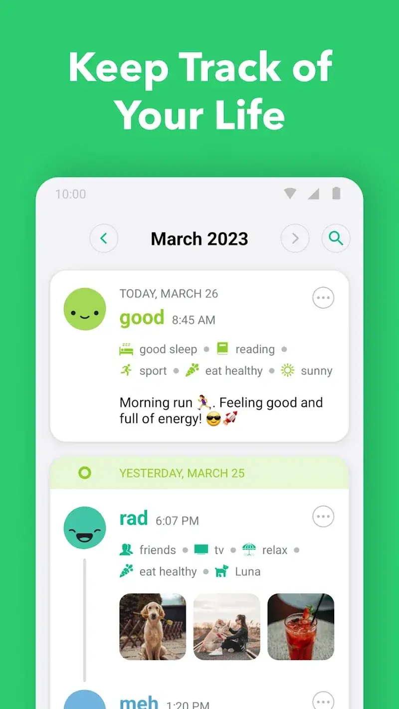 Screenshot 4 di Daylio Journal
