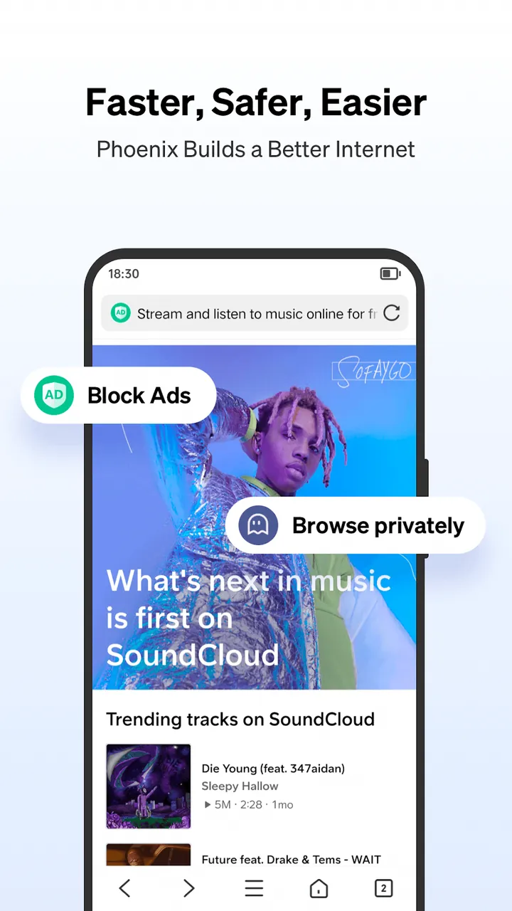 Phoenix Browser preview screen 3