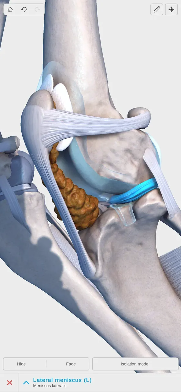 Complete Canine 3D - anatomy screenshot 5