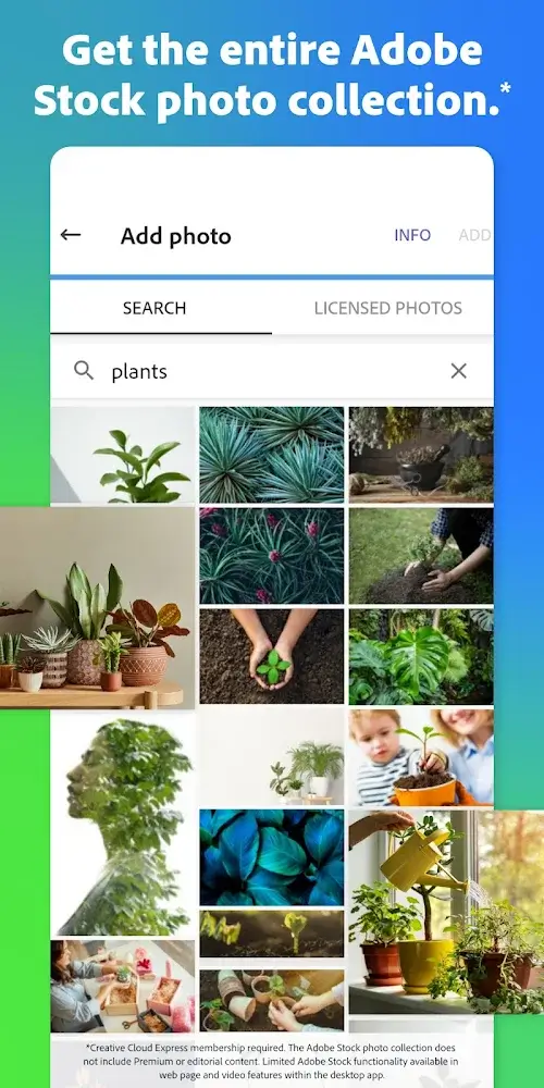 Adobe Express in-app preview 6