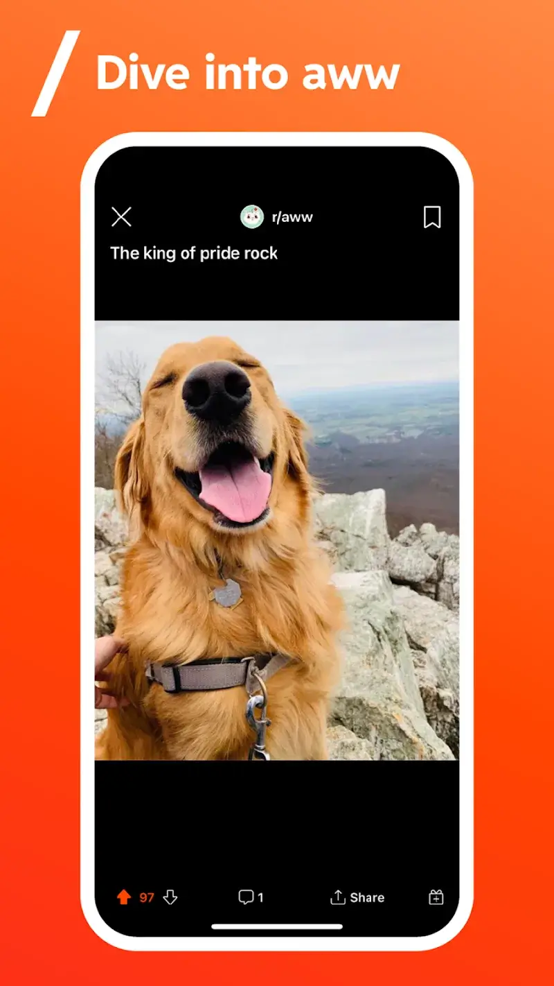 Captura de pantalla 4 de Reddit