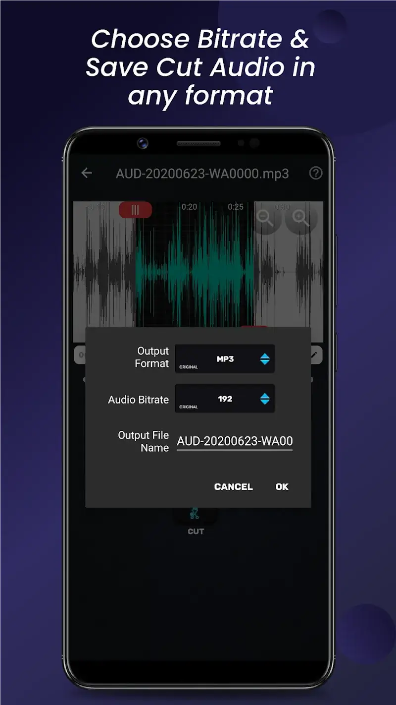 Audio Video Manager v20.2.0 APK Screenshot 4