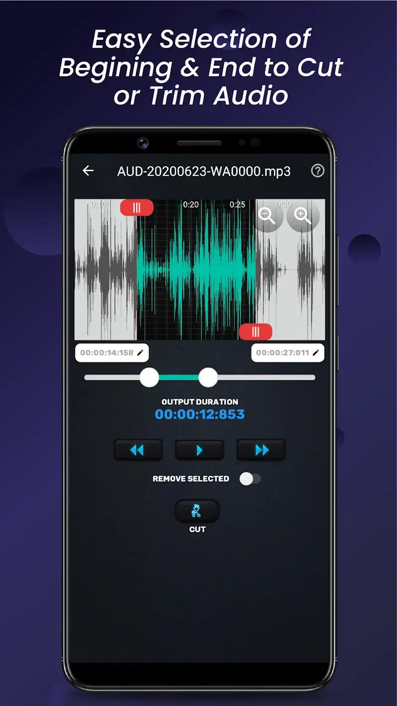 Audio Video Manager v20.2.0 APK Screenshot 3