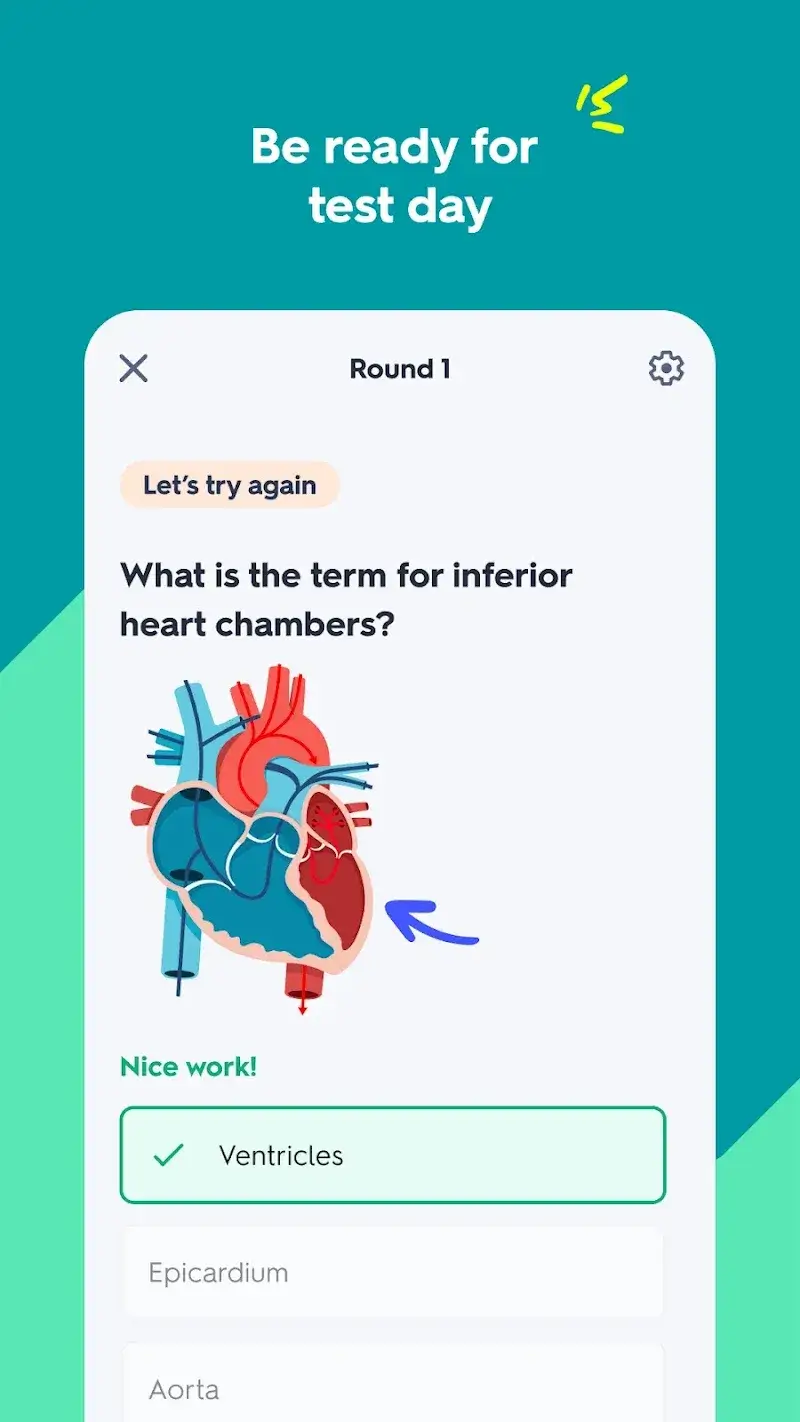 Quizlet screenshot 3
