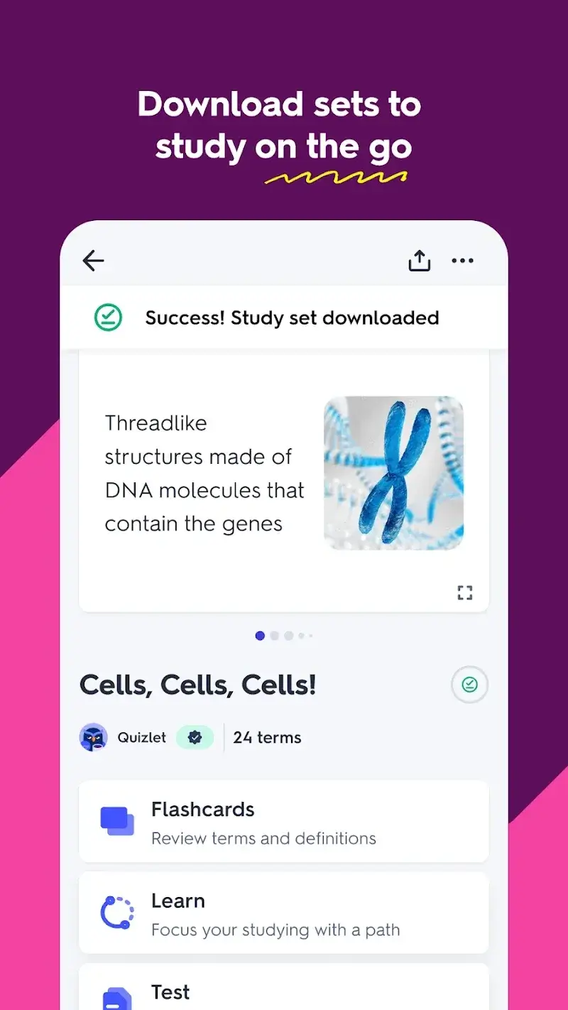 Quizlet screenshot 6