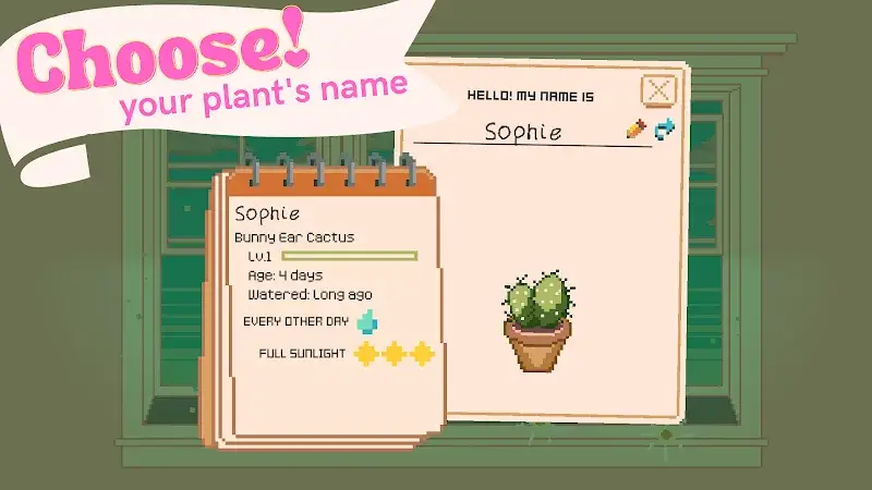 Screenshot Window, Garden 4