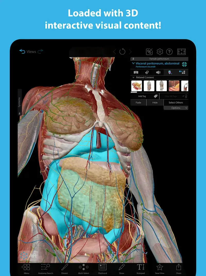 Human Anatomy Atlas 2026 v2027.00.029 APK + screenshot 6