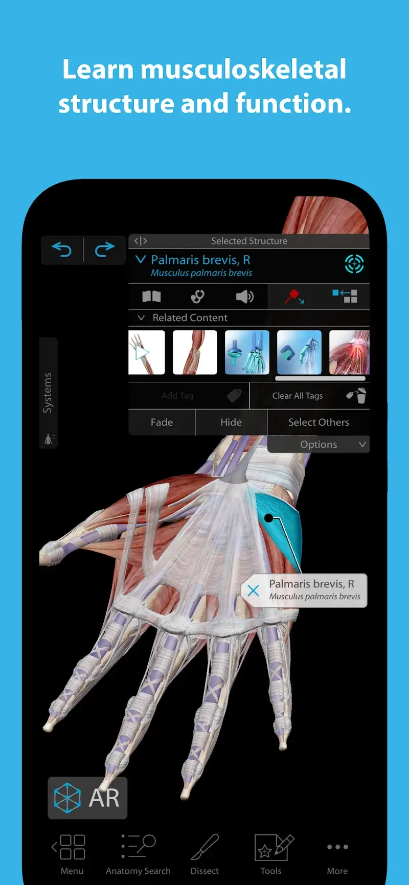 Human Anatomy Atlas 2026 v2027.00.029 APK + screenshot 3