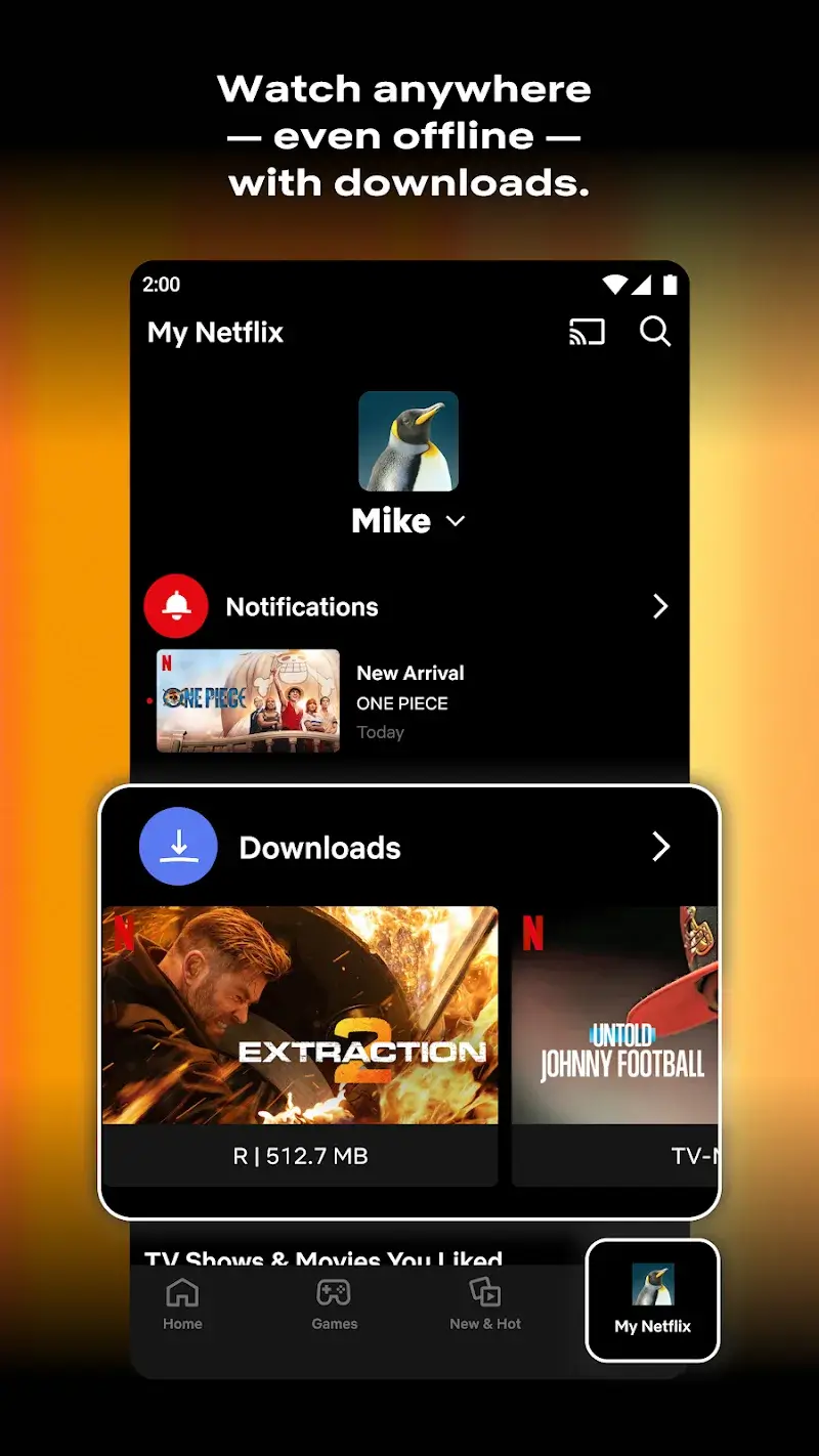 Netflix Premium Screenshot 2