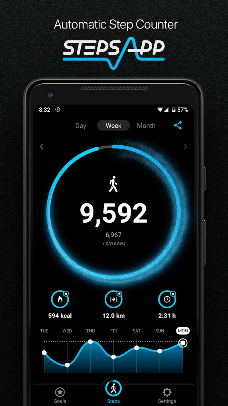 StepsApp – Contador de Passos Captura de Tela 1